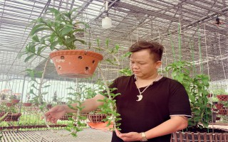 Anh Nguyễn Đăng Ghin: Từ niềm đam mê hoa lan đến phát triển kinh doanh